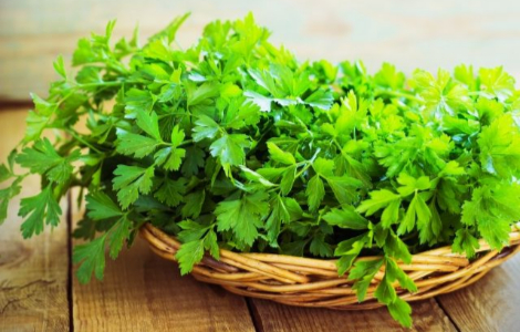 Що корисніше їсти: кріп чи петрушку? Що корисніше їсти: кріп чи петрушку?