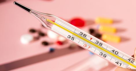 ������� ����� ��� �������� �����������