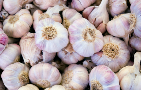 �� ����� ���� ��� ������������ ��������������� ����