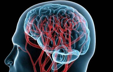 �� ������ � ���� ���������� ���� ��������