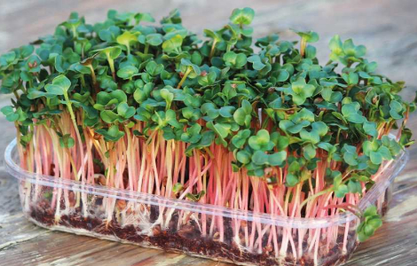 ������� ������� ��� ����������� �������� �������