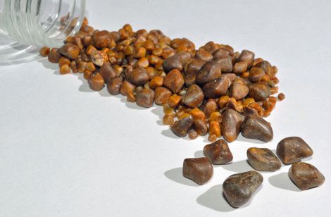 ����� �������� ������ � �������� ����