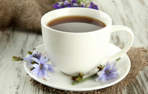 Три негативні фактори від вживання цикорію Три негативні фактори від вживання цикорію