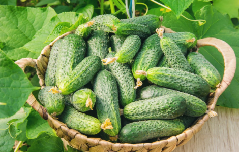 4 �������� �������� ��� ������� ������