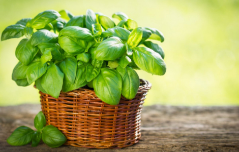 Чотири обов'язкові продукти для людей за 50 років Чотири обов'язкові продукти для людей за 50 років