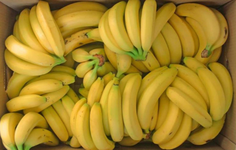 �� ����� ���� ������� �����������, ��� �� �������� ����