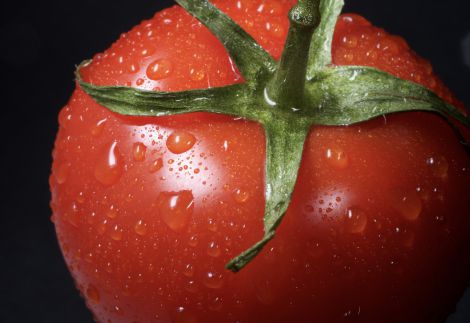 �� ������� ����� �������� �������� � �������?