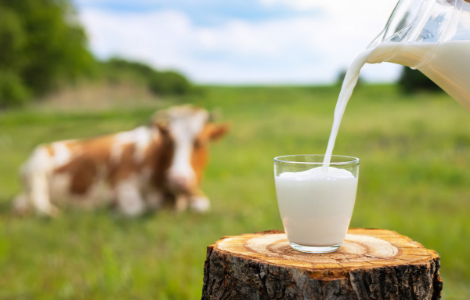 Продукти, які не можна давати дитині після харчового отруєння Продукти, які не можна давати дитині після харчового отруєння