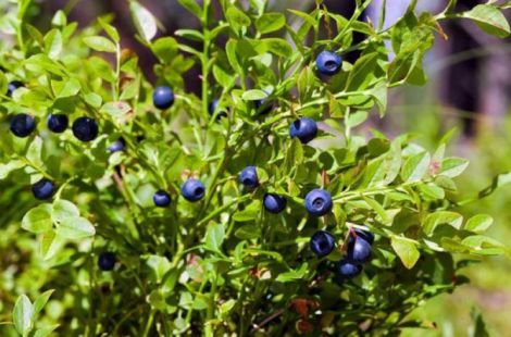 �����, ����� ����� ����� �������� ������� ������� �����