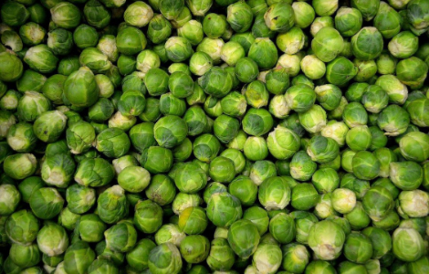 ��������, �� ���������� ���������� ����� �� �������� ���