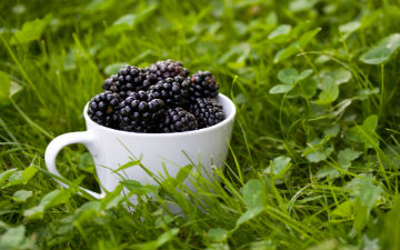 ��� ������ �����, ���� ����������� �������� ������㳿