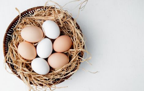 ���� ���������� �� �������� ������ ����������� ������� �����