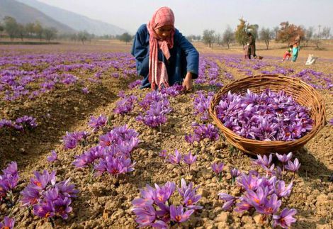 ������, ��� ������ ��������� ������ �������