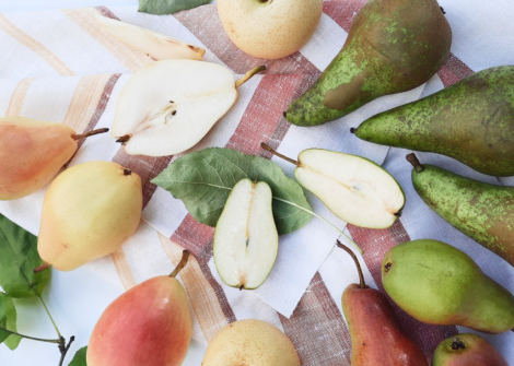 Яким людям груші можуть принести виключно шкоду Яким людям груші можуть принести виключно шкоду