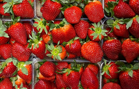 ���������� ����� ��� ����, ��� ��������� ��������