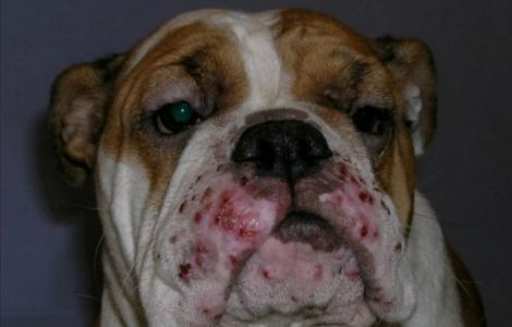 ���� � �����