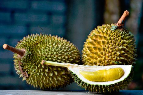 2920_durian.jpg (35.38 Kb)