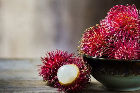 7876_rambutan.jpg (30.19 Kb)