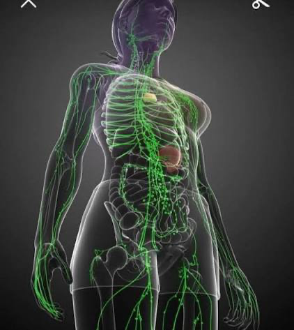 png-zobrazhennya_3_5c0f66ed-9a4c-4b77-a9ac-7b81f8b1c4a9.png (273.52 Kb)